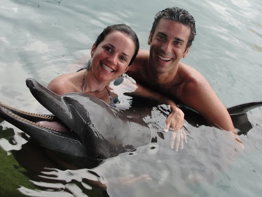 A Couple Swimming with Dolphins